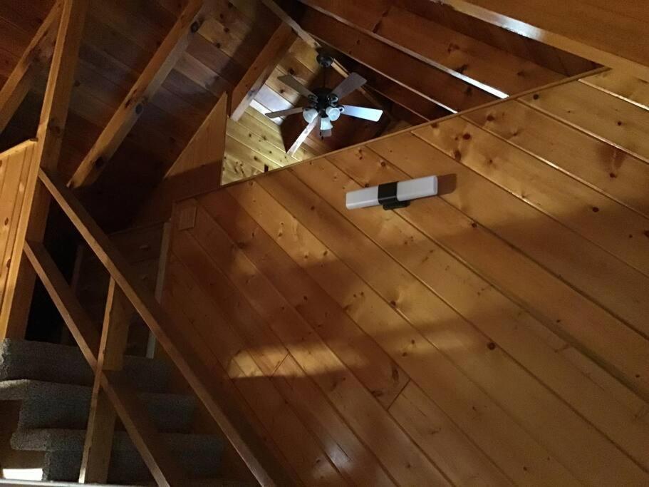 ピジョンフォージ Dollywood-Brand New Dancing Bear 4ヴィラ エクステリア 写真