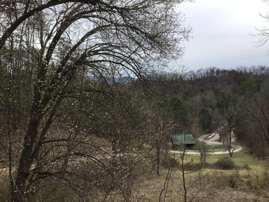 ピジョンフォージ Dollywood-Brand New Dancing Bear 4ヴィラ エクステリア 写真